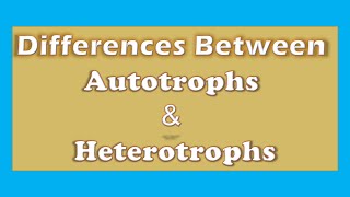 Unlocking the Differences Autotrophs vs Heterotrophs  A Clear Explanation [upl. by Ellie]