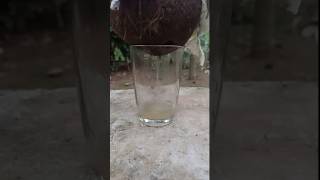 EVS experiment water filtrationwaterampsoil 3rd unitschool [upl. by Epul325]