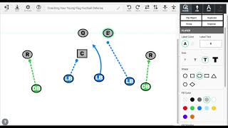 Get Your Flag Football Rusher To The QBs Throwing Arm [upl. by Nidorf]