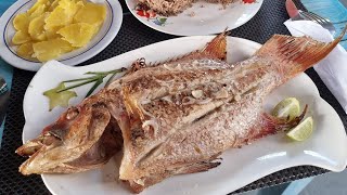 A walking food tour of Isla de La Juventud in Cuba  LA to Argentina  CUB  Ep67 [upl. by Harrad]