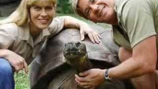 Steve Irwin 2221962 to 942006 [upl. by Anoy]