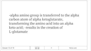 Biochemistry  18 Amino Acid Oxidation and the Production of Urea  Flashcards [upl. by Ettenoitna]