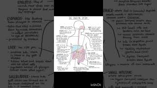 Digestive system PHYSIOLOGY and anatomy digestivesystem [upl. by Teriann]