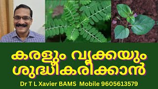 ഈ ഇലകൾ ഇങ്ങനെ  Power of Ayurvedic Herbs for Liver amp Kidney [upl. by Ennaxxor]