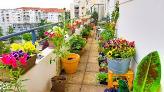 Planting a LOT Of Petunias On My Balcony [upl. by Onairam401]