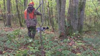 Diwan du ruisseau de Montbrun Braque dAuvergne Chasse du 22 oct 2017 [upl. by Rustice]