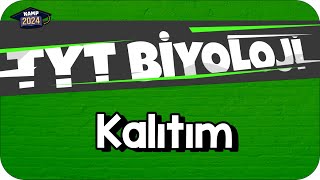 Kalıtım  TYT Biyoloji KAMP2024 [upl. by Ahsenar]