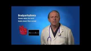 Bradycardia Informational Video  30mov [upl. by Worlock]