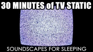 30 Minutes of TV Static  Soundscapes for Sleeping [upl. by Stu]