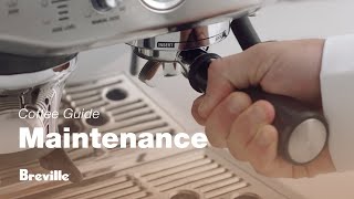 The Barista Express™ Impress  How to perform a clear water backflush on your machine  Breville NZ [upl. by Meesan]