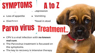 parvovirus in dogs  parvo dog virus treatment  parvovirus treatment  parvovirus symptoms  parvo [upl. by Jariv947]