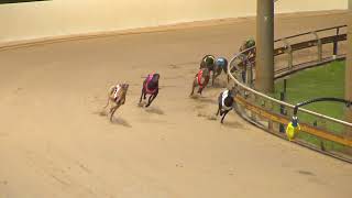 Rockhampton06112024Race5 [upl. by Silvie]