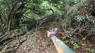 Encontramos o lago sinistro no meio da selva lotado de traíras [upl. by Aidan]