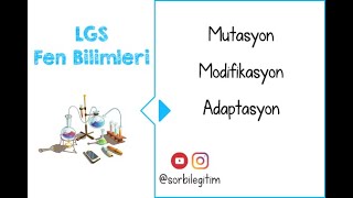 Mutasyon  Modifikasyon  Adaptasyon ● LGS Fen Bilimleri \u00100 Güncel Konu Anlatım [upl. by Brianna644]