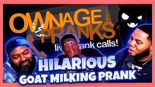 OWNAGE PRANKS Crazy Indian Goat Milking Prank ft Rakesh  TRY NOT TO LAUGH [upl. by Blasius]