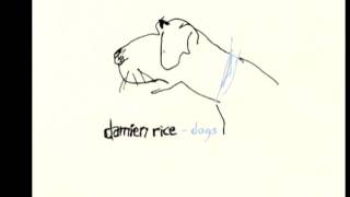 Damien Rice  The Professor amp La Fille Danse Live at Wisseloord Studios [upl. by Eitsirc]