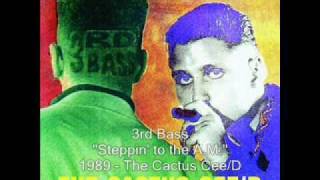 3rd Bass  Steppin to the AM [upl. by Nylloh]