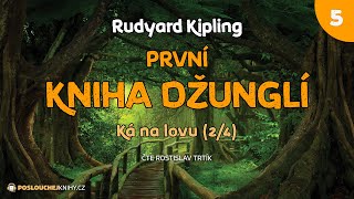 Rudyard Kipling První kniha džunglí – 05 Ká na lovu 24 [upl. by Kaczer]