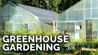 Greenhouses 101 Everything You Need to Know [upl. by Tsui]