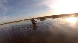 Waterfowl Pintails Duck Hunting Grizzly Island CA [upl. by Gnuj385]