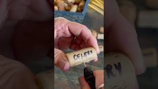 Easy Garden Hack DIY Wine Cork Plant Markers gardenhacks upcycledcrafts diyprojects [upl. by Miranda565]