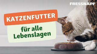 Welches Katzenfutter ist das Beste Unsere Tipps für Kitten Adult amp Senior [upl. by Ewer171]