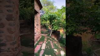 Forest in our Mud House Van Bhoj ecotourism travel song viralvideo [upl. by Haianeb565]