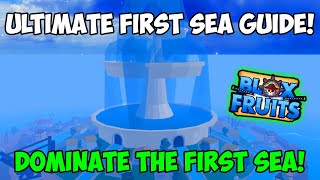 The ULTIMATE First Sea Guide In Blox Fruits How To DOMINATE The First Sea In Blox Fruits [upl. by Neenaej]