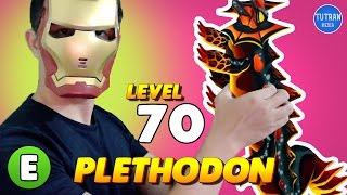 Monster Legends Plethodon level 1 to 70  Combat [upl. by Atilef702]