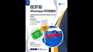 俄罗斯 WhatsApp 号码数据库  Latest Lead [upl. by Ramuk]