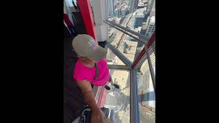 Calgary tower glass floor jamaican mom [upl. by Stevens]