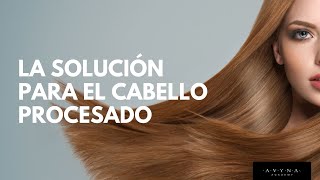 La solución para el cabello procesado [upl. by Gherlein]