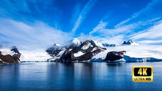 Unveiling the Mysterious World of Antarctica Exclusively in 4K 4k 4knature [upl. by Onitnatsnoc504]