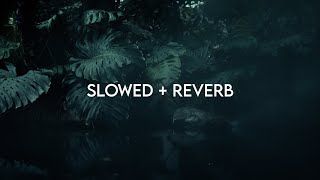 Mazhai Saaral  Slow  Reverb [upl. by Alyehc]