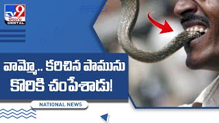 Snake bites man he bites it back snake dies  TV9 [upl. by Anear275]