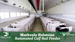 Automatic Calf Rail Feeder  Markvale Holsteins [upl. by Assilam678]