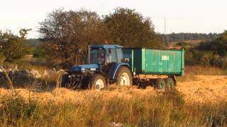 Claas Lexion 420 New Holland 7840 TM 155 Cosecha 2013 HD [upl. by Olivie232]