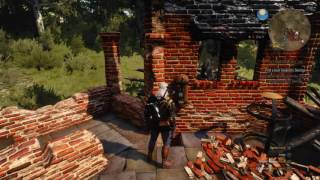 The Witcher 3 Wild Hunt – Aeramas Manor Sun Lever HD [upl. by Guyer]