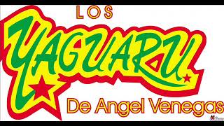 LOS YAGUARU MIX [upl. by Horvitz]