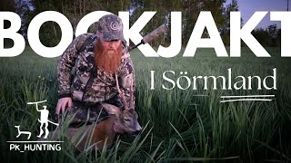 Bockjakt i viltrika Sörmland Bockjakt 2024 [upl. by Vigen]