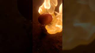 Asmar Save money cooking 🍅asmar experiment tomato cooking [upl. by Zulaledairam]