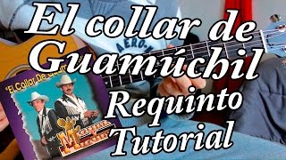 El collar de Guamúchil  Miguel y Miguel  Guitarra Requinto tutorial [upl. by Brittany]