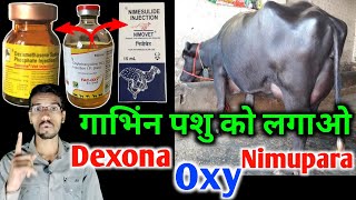 gyabhin pashu lagane par kya hoga  Dexona injection use  oxytetracycline injection  Vet injection [upl. by Anhavas]