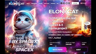 ELONXCAT OFFICIAL VIDEO  ElonMusk amp SpaceX Meme Project [upl. by Nosila447]