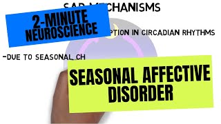 2Minute Neuroscience Seasonal Affective Disorder [upl. by Aidiruy757]