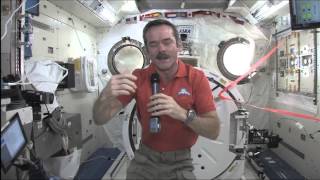 Chris Hadfield Speaks with William Shatner live from space  Event Video [upl. by Chatav814]