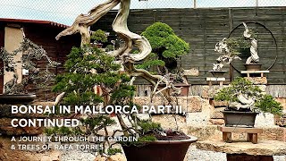 Bonsai in Mallorca II part two [upl. by Noirad]