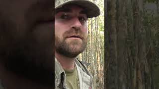 Scouting in the Swamp MossyOak onXHunt deer archery hunting [upl. by Crista317]