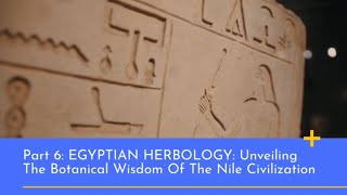 The Magical World of Herbology  Part 6 Egyptian Herbology [upl. by Farrish]