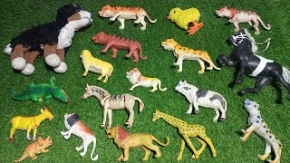 wild animals lion tiger dog cow horse crocodile zebra giraffe sheep dinosaur [upl. by Norted]